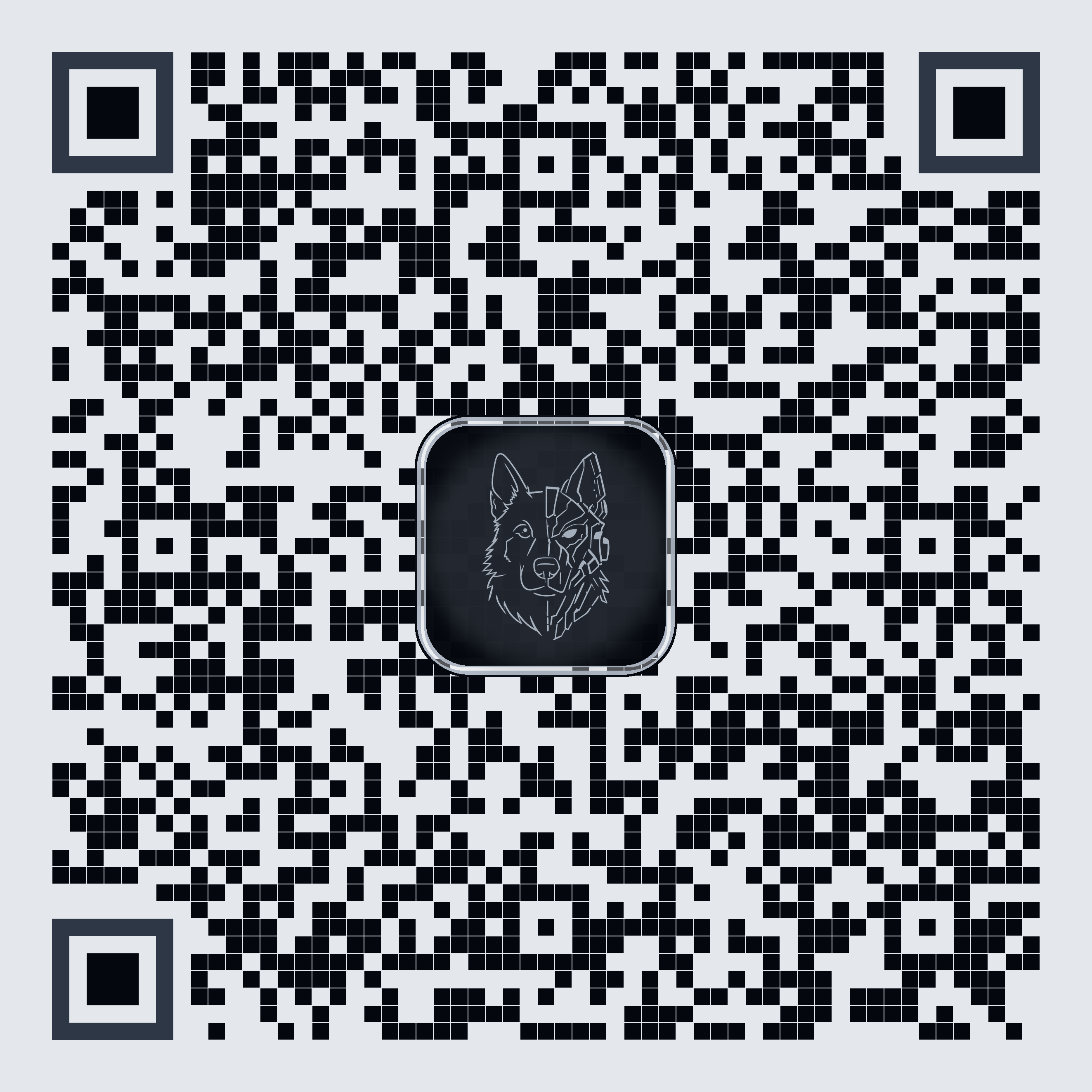 Codee Onyx QRCodee