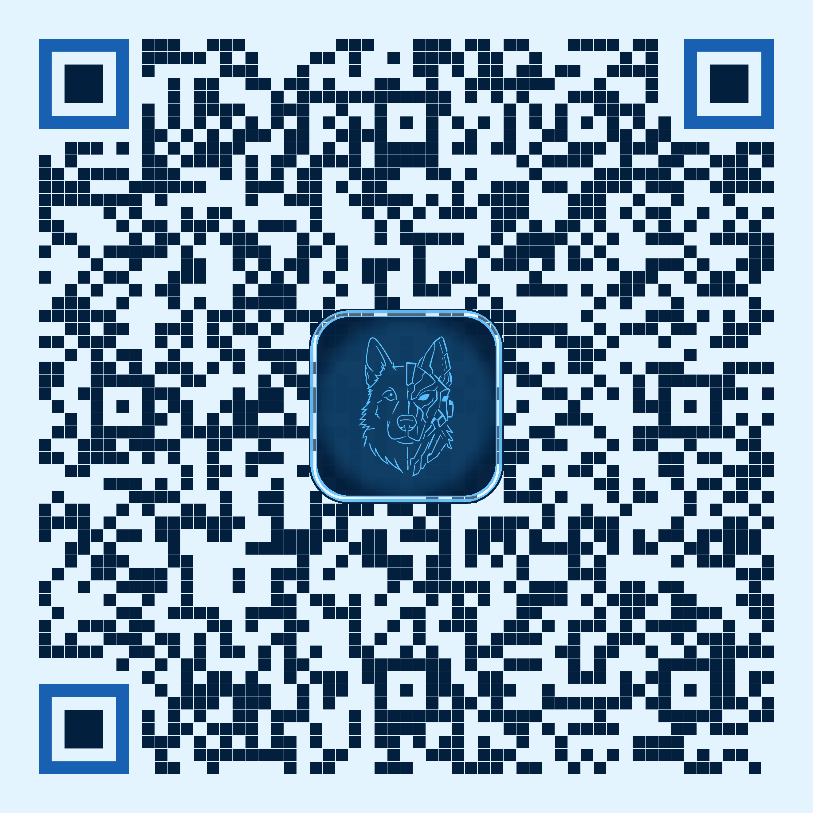 Flyer Electric QRCodee
